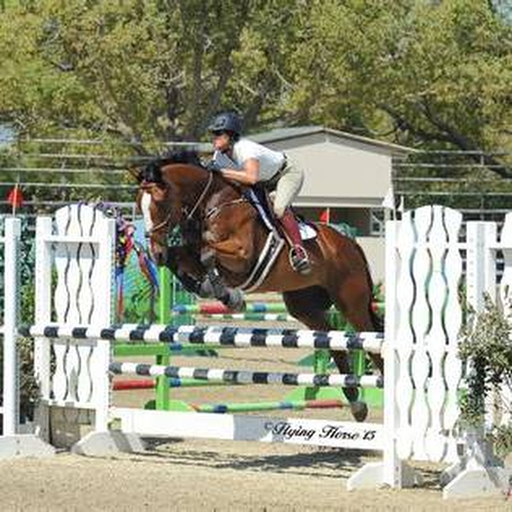 Shadow Hills equestrian visual